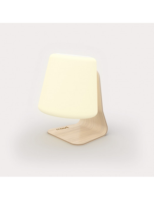                                  Mooni Table Lamp Speaker                              