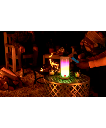 JBL PULSE 4 BLK in a night fiesta