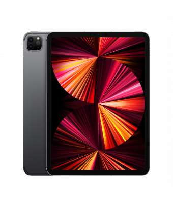 iPad Pro 11 pouces Wi-Fi + Cellular 128Go ( 2021)