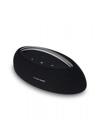 Harman Kardon Go plus play