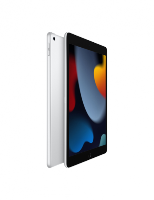 iPad 10,2 pouces 64 Go Wi-Fi+Cellular - silver (2021)