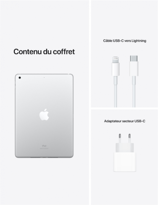 iPad 10,2 pouces 64 Go Wi-Fi+Cellular - silver (2021)