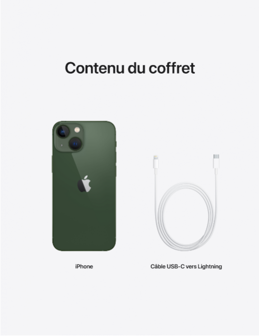 iPhone 13 128 go green  et câble