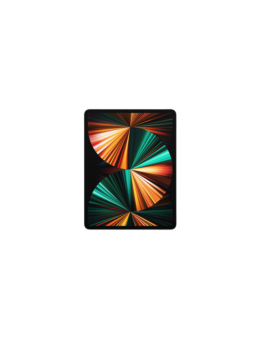 iPad Pro 12.9 pouces Wi-Fi+Cellular 256 go (2021) - Silver