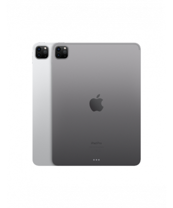                                  iPad Pro 11 pouces Wi-Fi 256 Go Gris sidéral (2022) - iStore Tunisie                              