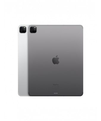                                  iPad Pro 12,9 pouces Wi-Fi + Cellular 128 Go Gris sidéral (2022) - iStore Tunisie                              