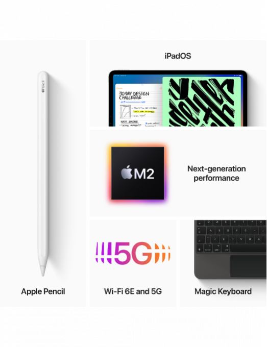 iPad Pro 12-9 pouces Wi-Fi Cellular 2022