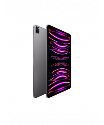 iPad Pro 12-9 pouces Wi-Fi Cellular 2022