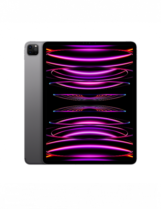 iPad Pro 12-9 pouces Wi-Fi Cellular 2022