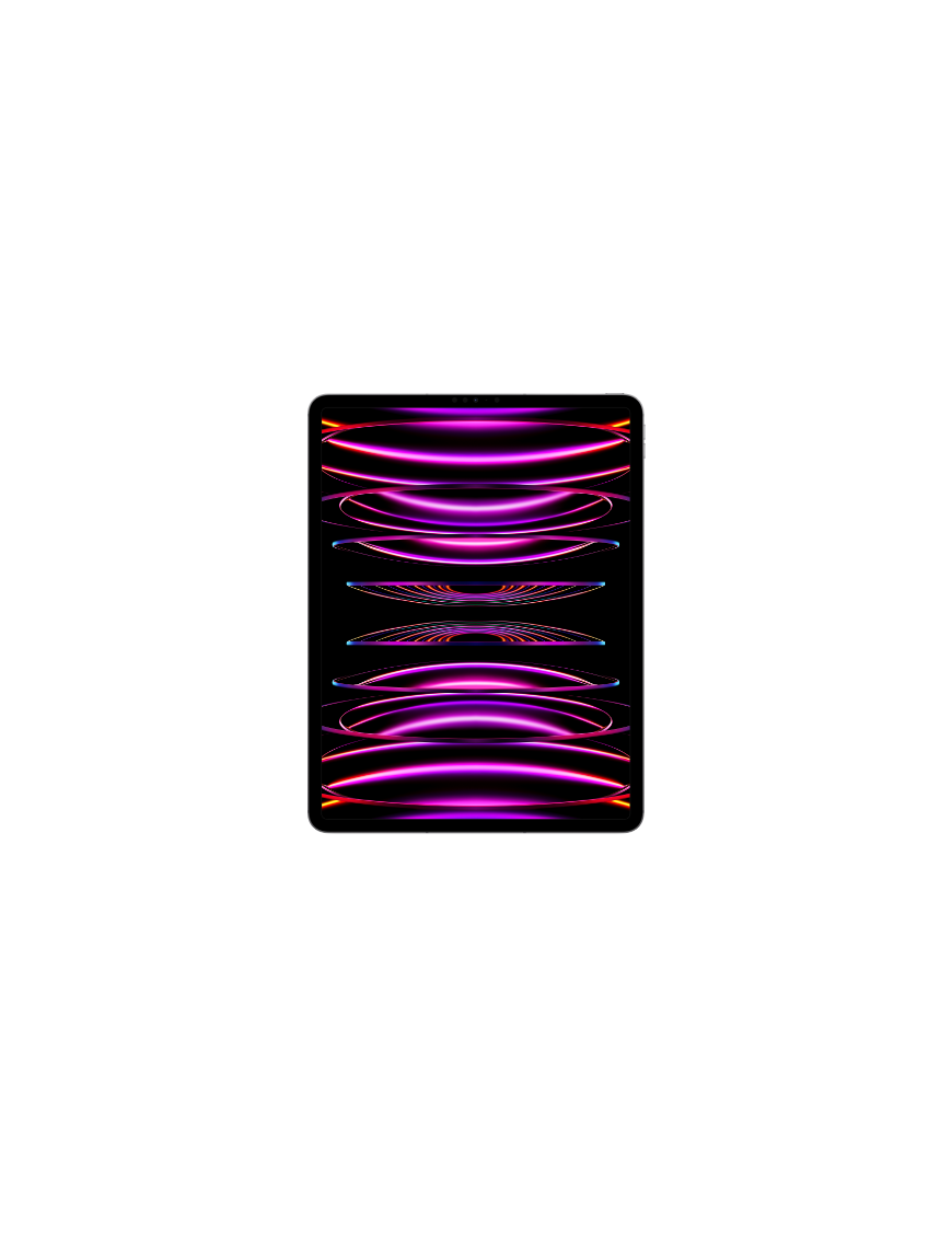 iPad Pro 12-9 pouces Wi-Fi Cellular 2022