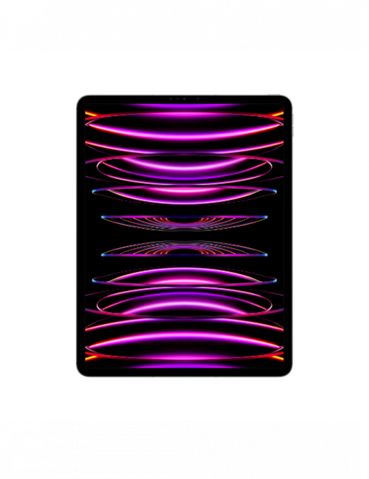 iPad Pro 12-9 pouces Wi-Fi Cellular 2022