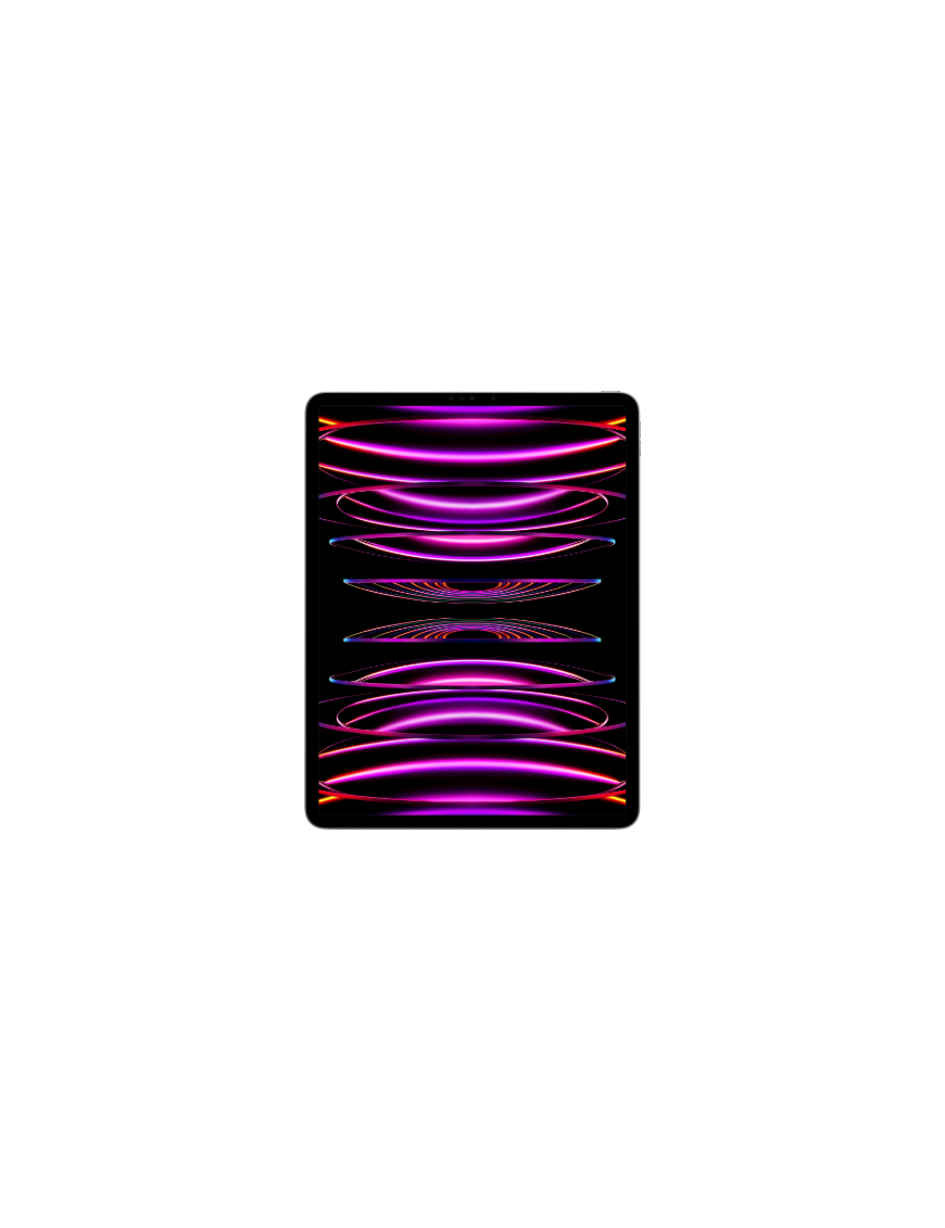 iPad Pro 12.9 wifi 2022