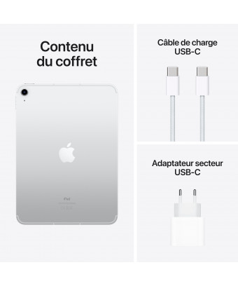                                  iPad 10,9 pouces 64 Go Wi-Fi + Cellular Silver (2022) - iStore Tunisie                              