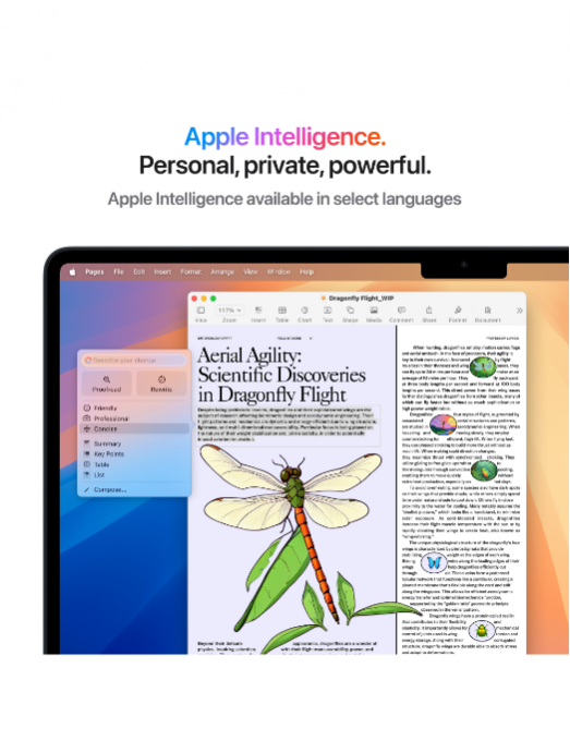 Apple MacBook Air M4 15 pouces