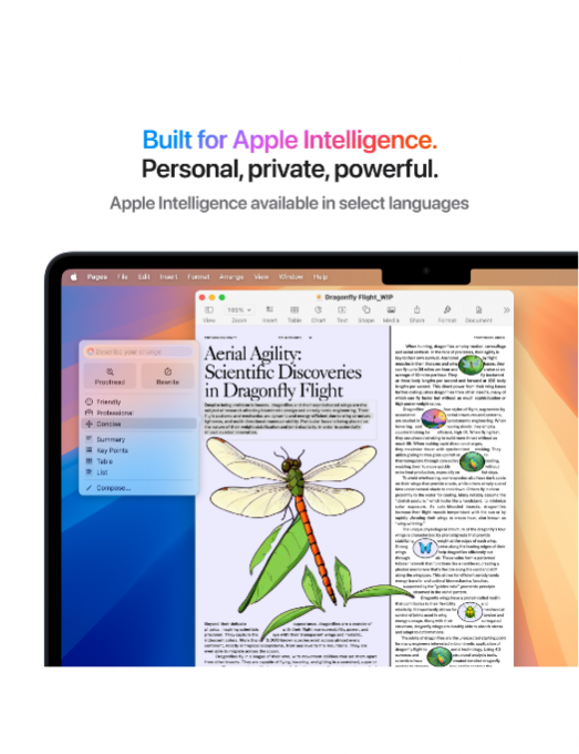 Apple MacBook Air M4 13 pouces Apple MacBook Air M4 13 pouces