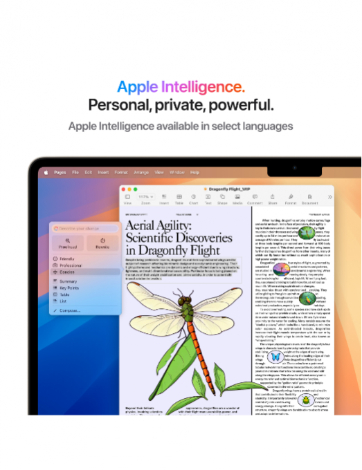 Apple MacBook Air M4 15 pouces