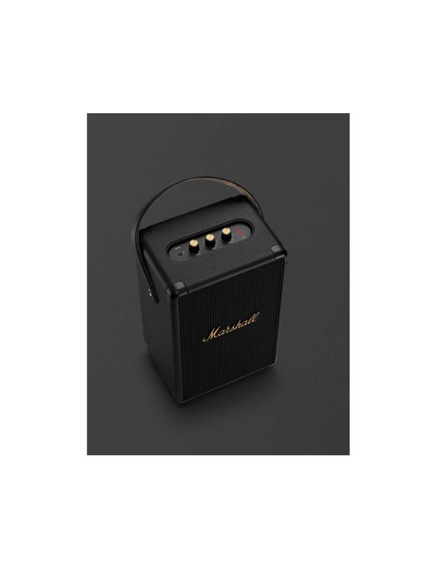 Enceinte Marshall TUFTON