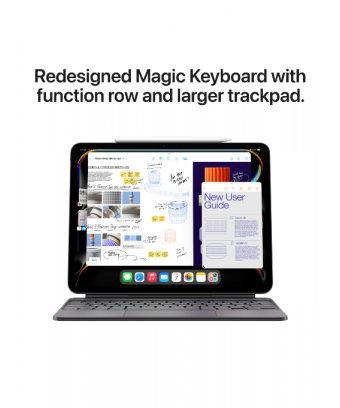 iPad Pro M4 13 pouces Verre standard Wifi+Cellular Silver