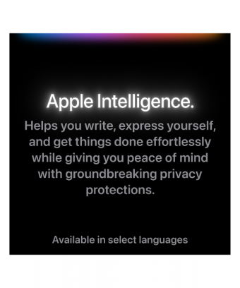 iPad Pro M4 13 pouces Verre standard Wifi+Cellular Silver