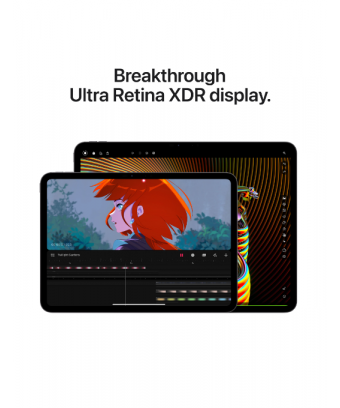 iPad Pro M4 13 pouces Verre standard Wifi+Cellular Silver