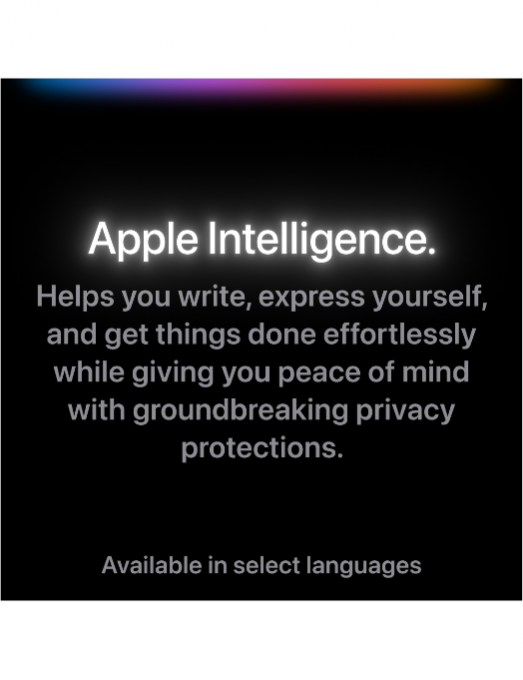 iPad Pro M4 13 Verre standard Wifi+Cellular 256 Go Space Black
