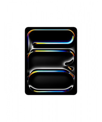 iPad Pro M4 13 Verre standard Wifi+Cellular 256 Go Space Black
